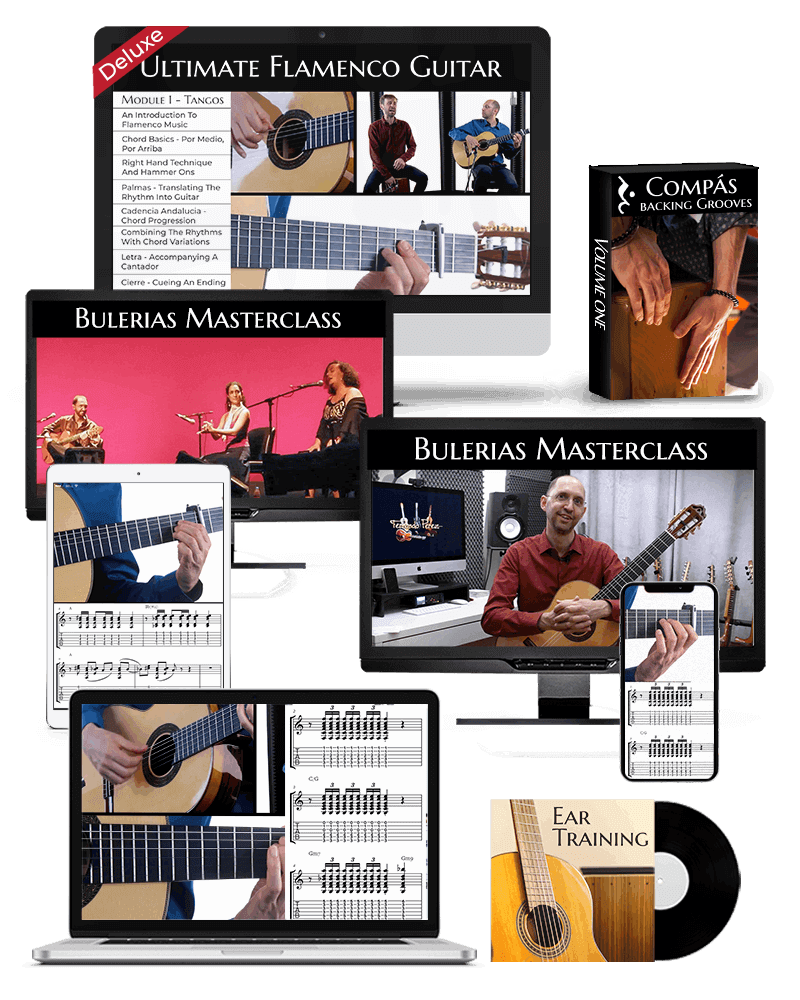 Ultimate Flamenco Guitar 6