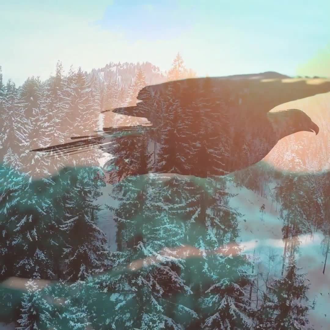 Eagle Wheeling High FINAL