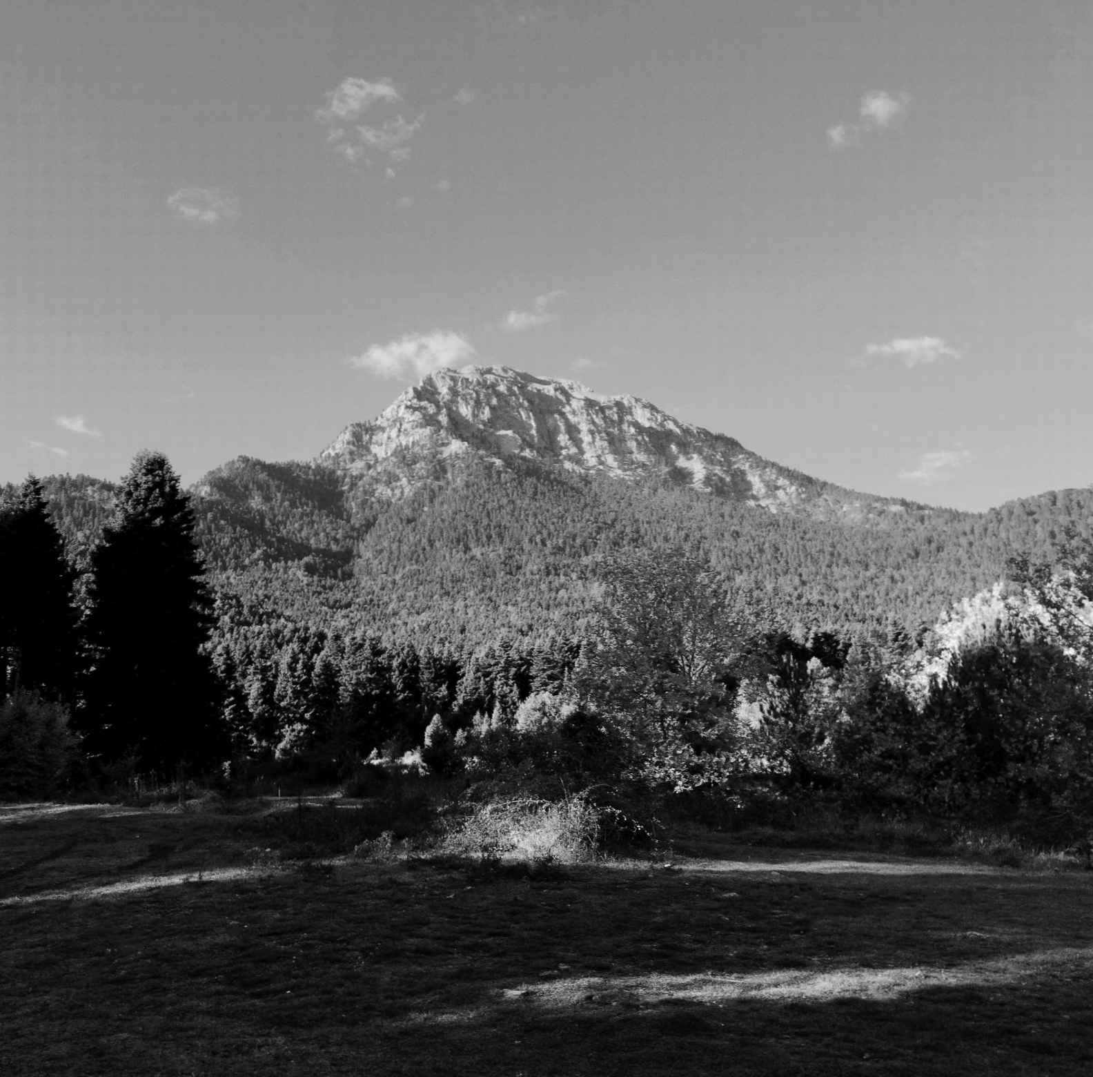 690f8e4a837f4 bp cover image